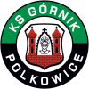 gornik_polkowice.gif